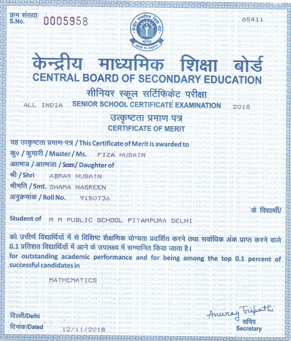 M M Public School CBSE Merit Certificates M M Public School CBSE Merit Certificates