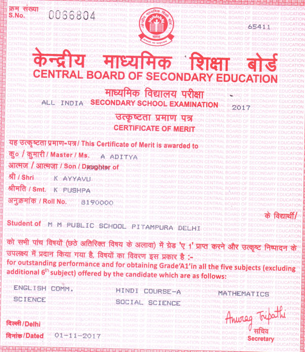 CBSE Merit Certificates 2016-17