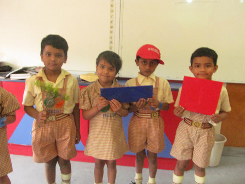 Colour Day Activity On 16-4-2014