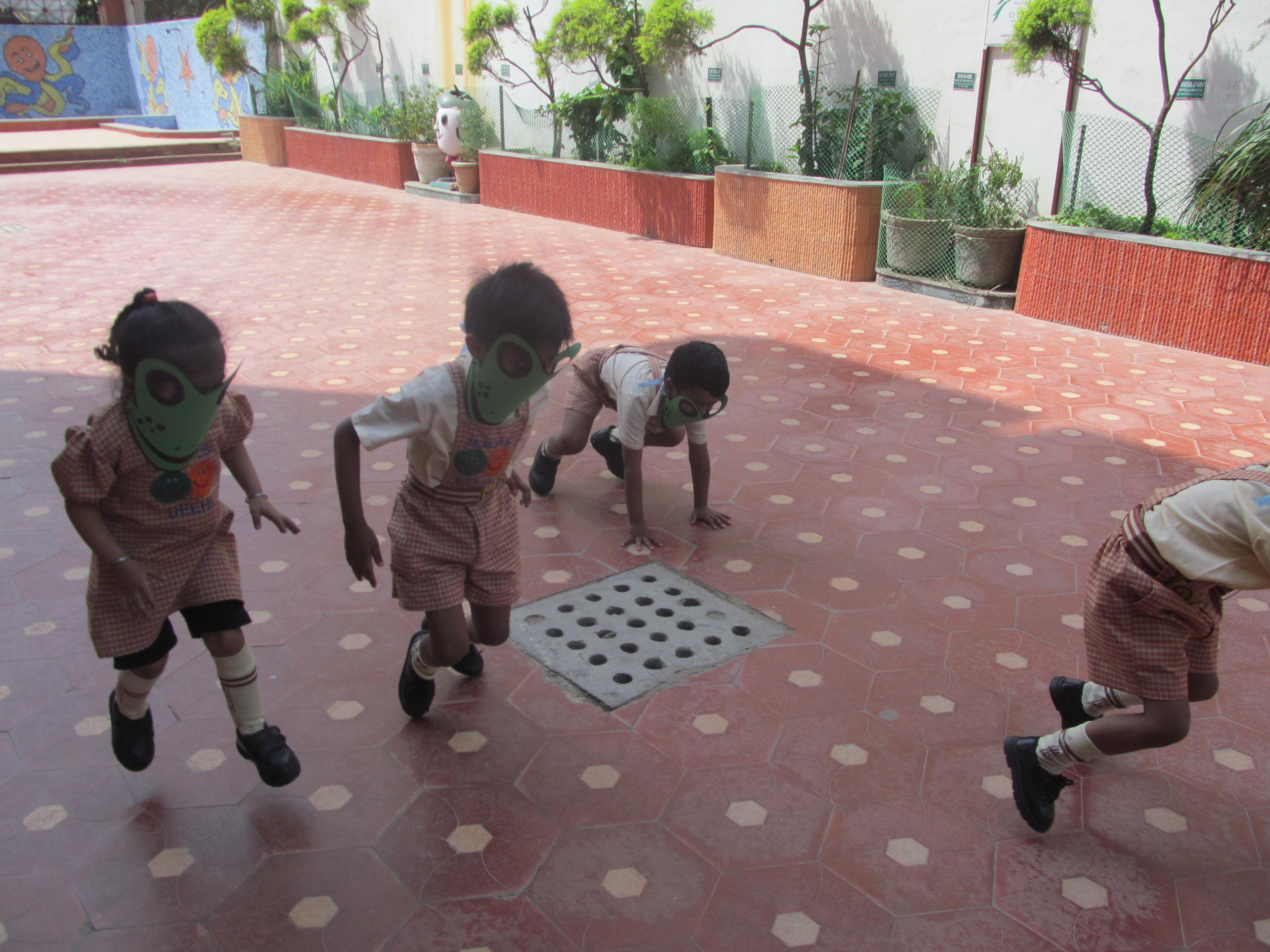 Frog Race On 23-04-2014