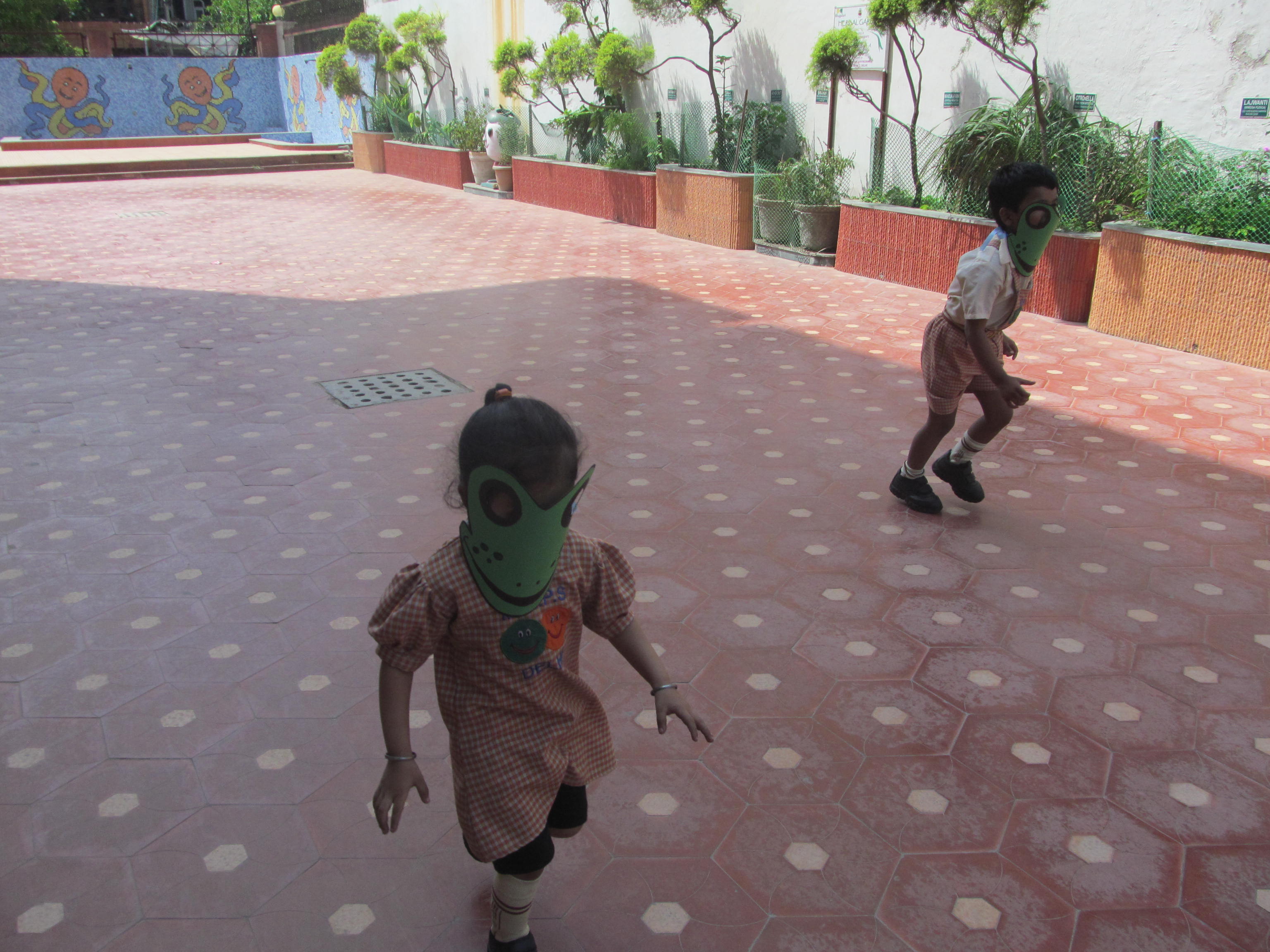 Frog Race On 23-04-2014