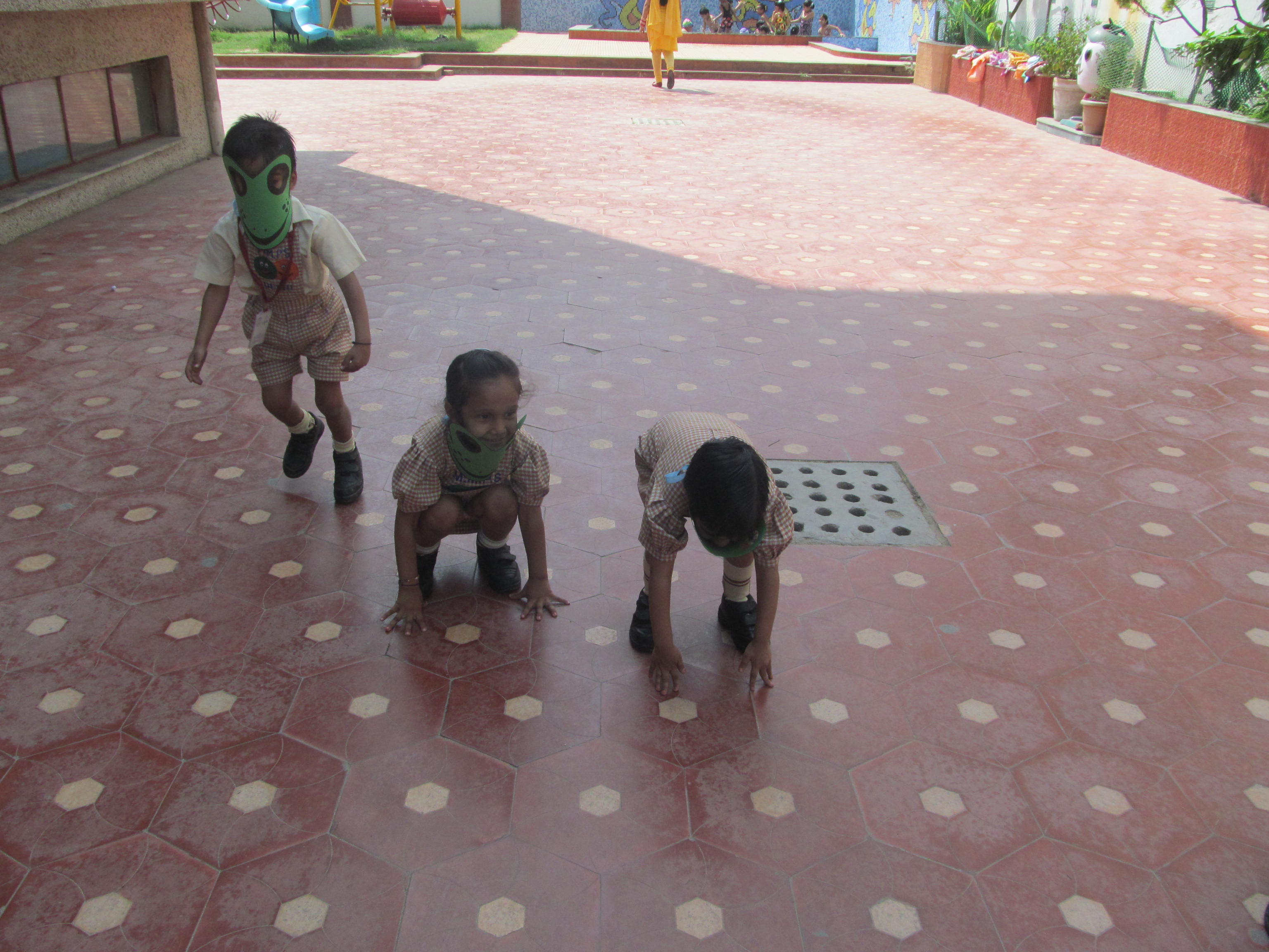 Frog Race On 23-04-2014