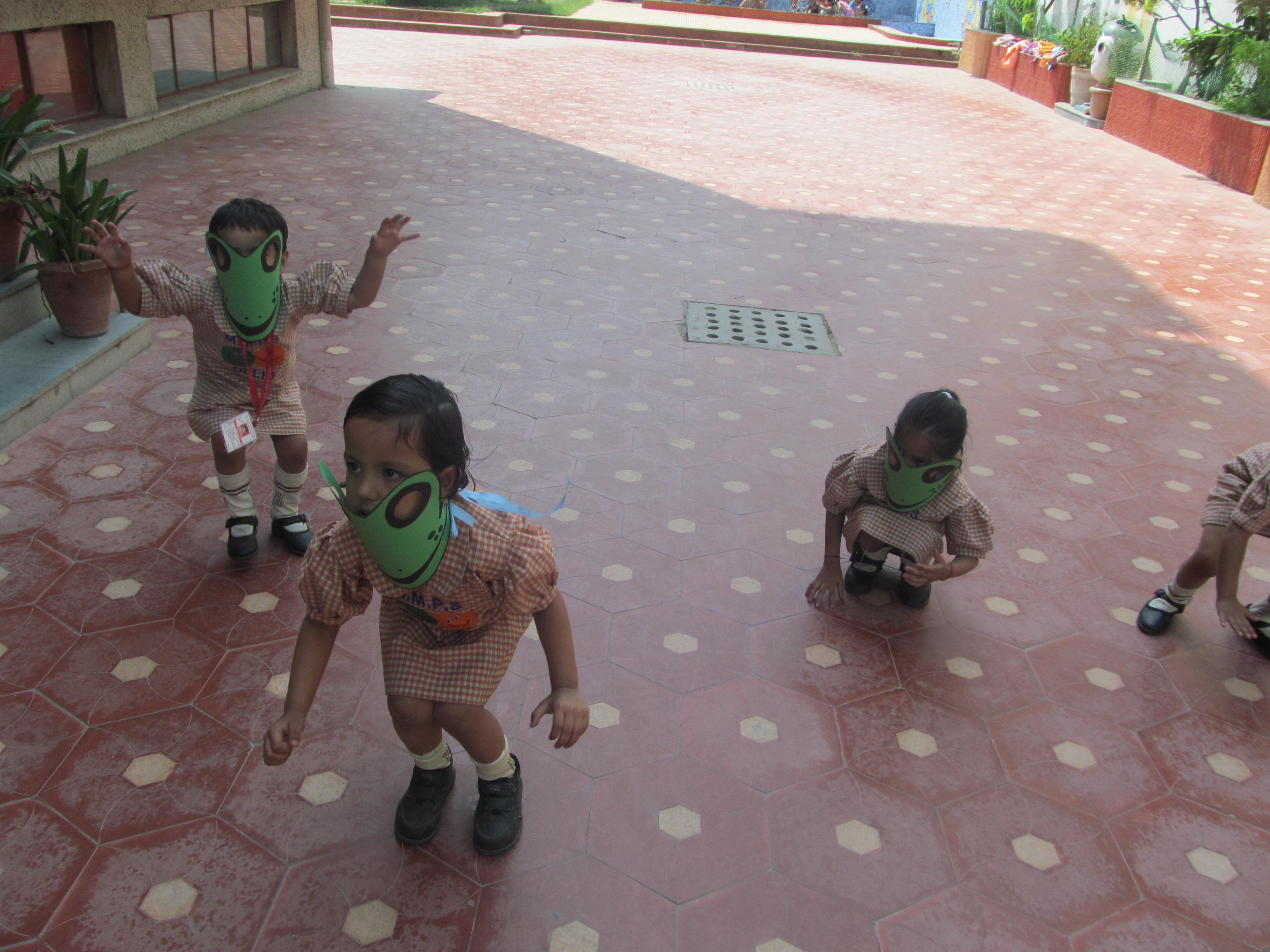 Frog Race On 23-04-2014