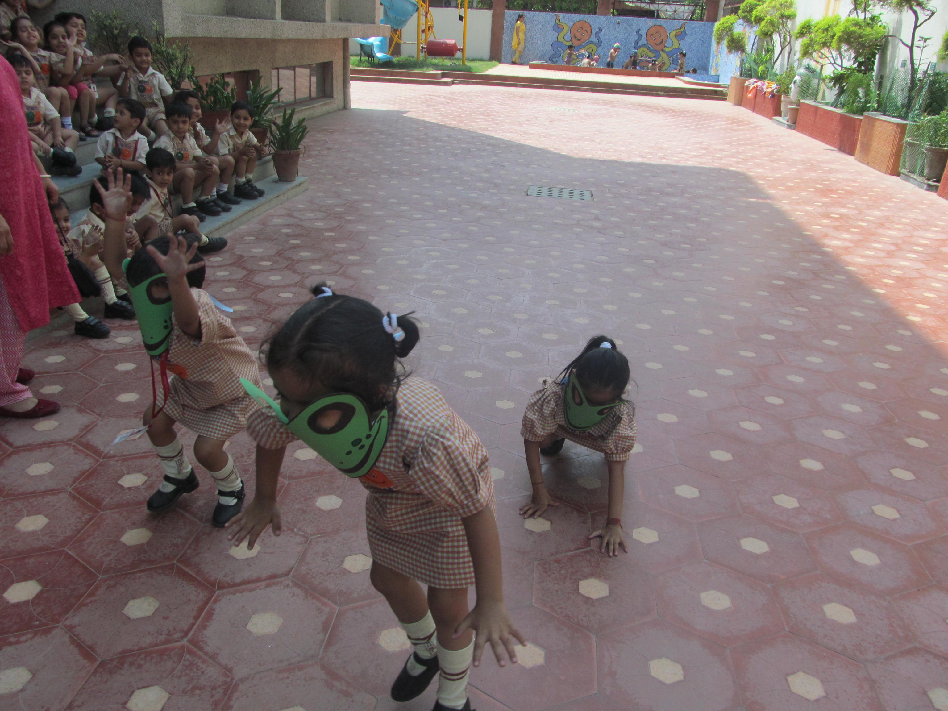 Frog Race On 23-04-2014