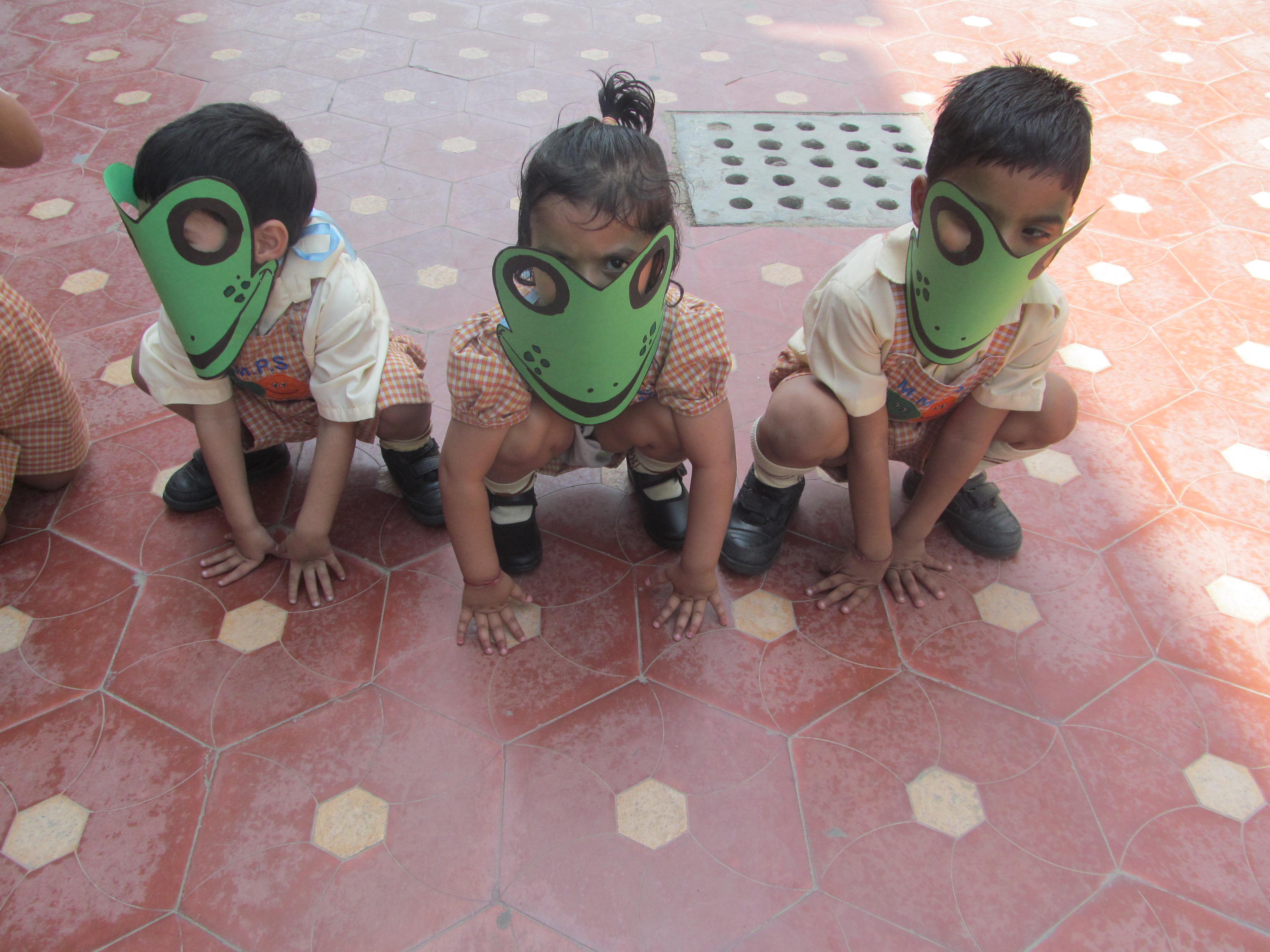 Frog Race On 23-04-2014