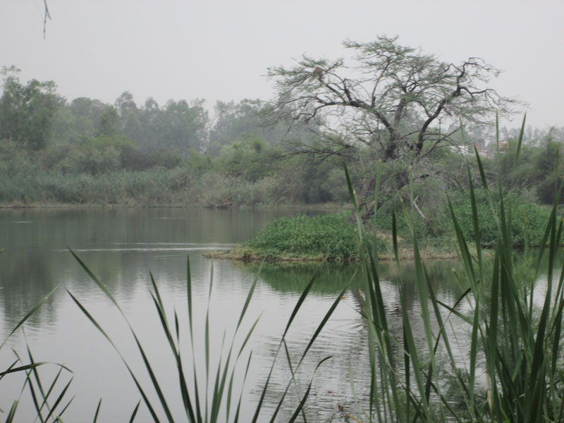 Visit To Yamuna Biodiversity Park On 02-05-2014