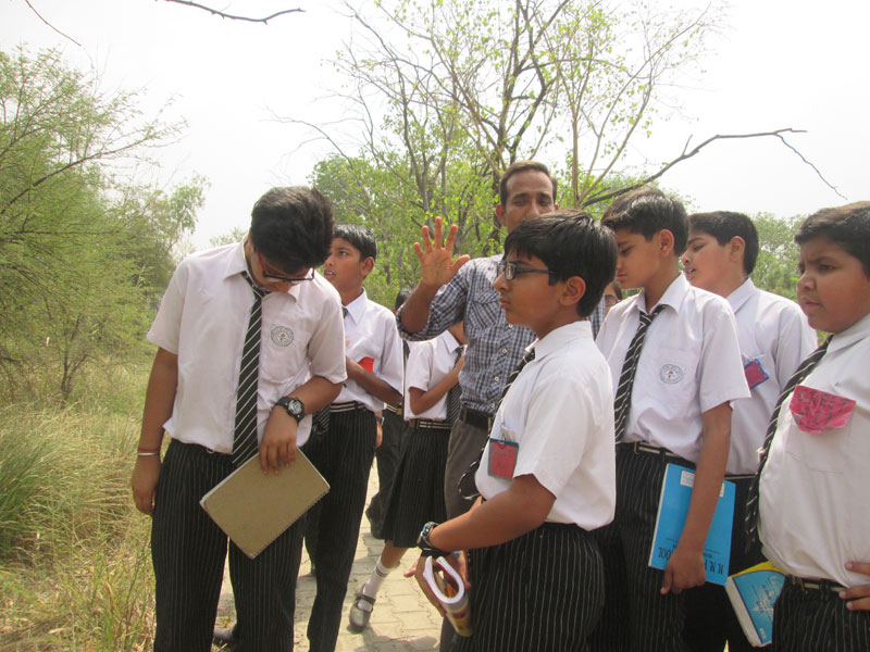 Visit To Yamuna Biodiversity Park On 02-05-2014