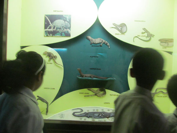 VISIT TO NATIONAL MUSEUM ON 30-4-2015