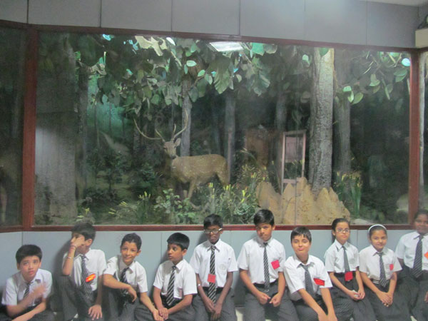 VISIT TO NATIONAL MUSEUM ON 30-4-2015