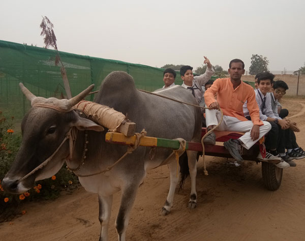  Picnic to Lohagarh Farms