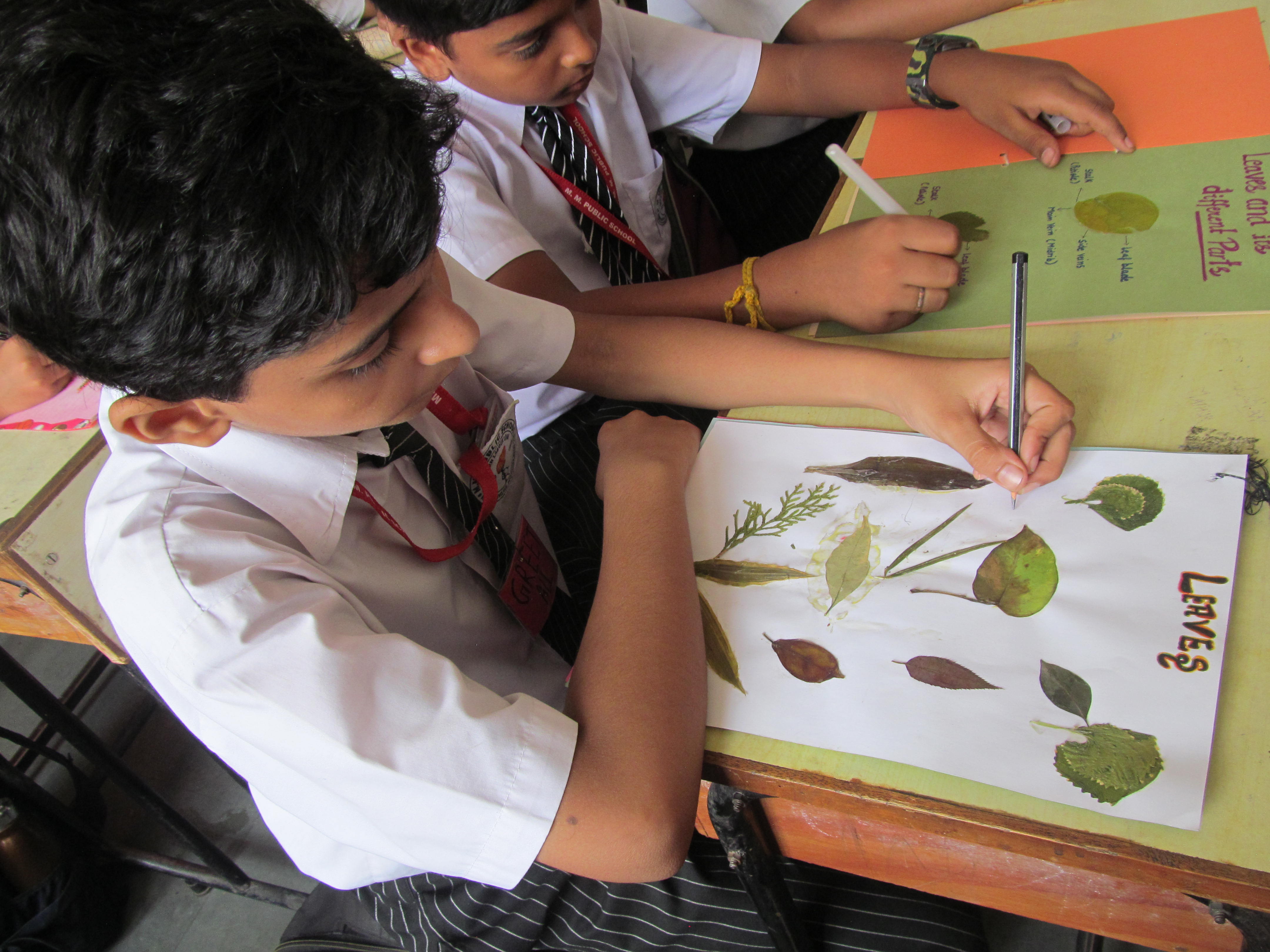 SCRAP BOOK COMPETITION ON LEAVES