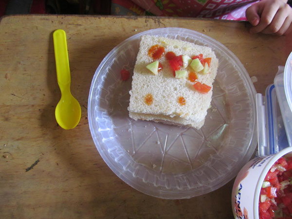 FLAMELESS COOKING