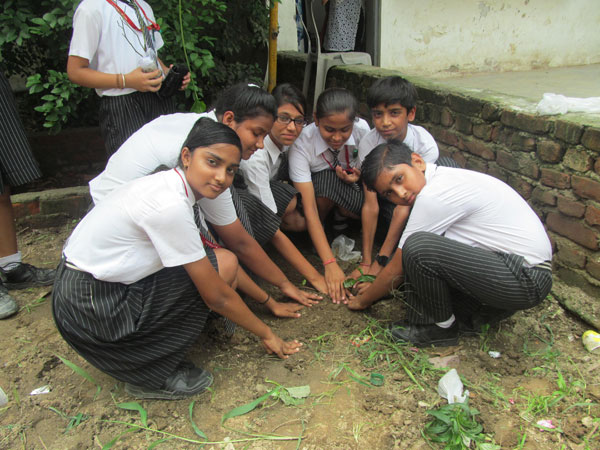 VAN MAHOTSAV