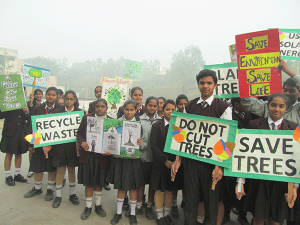 SAVE TREES RALLY