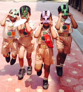 RABBIT RACE