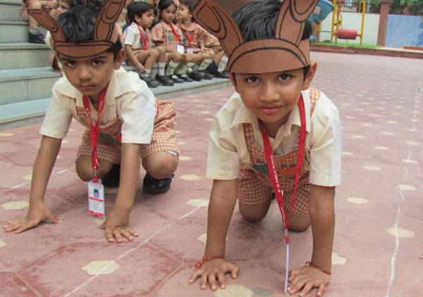 Dog Race for Pre-primary students