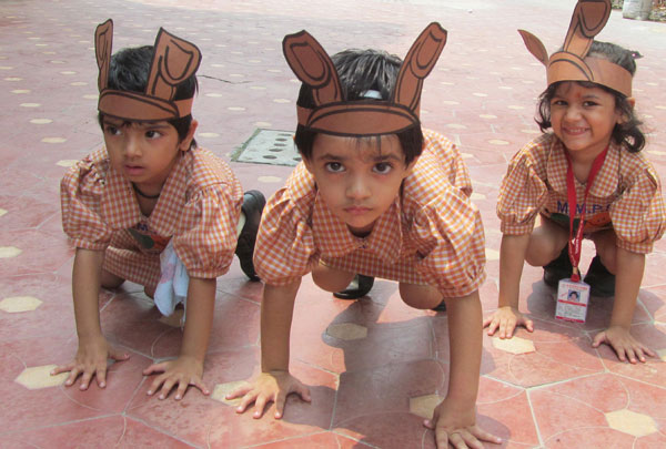 Dog Race for Pre-primary students