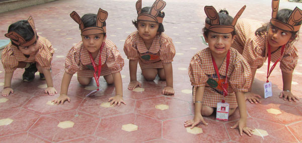 Dog Race for Pre-primary students