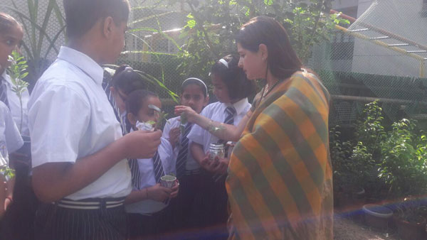 PLANTATION DAY