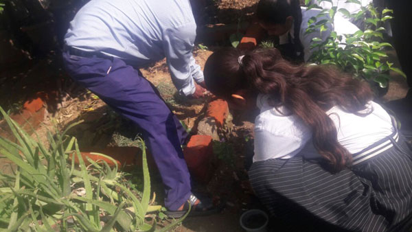 PLANTATION DAY