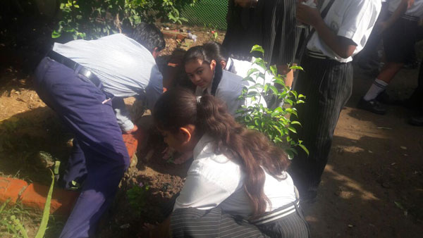PLANTATION DAY