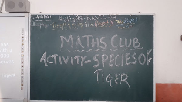 Species of Tiger by Maths club