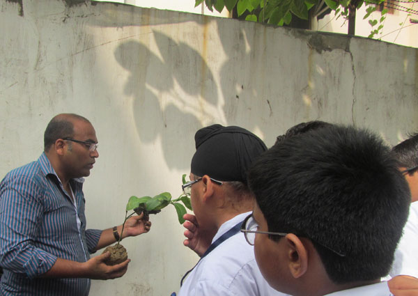 Tree Plantation Activity by ECO Club