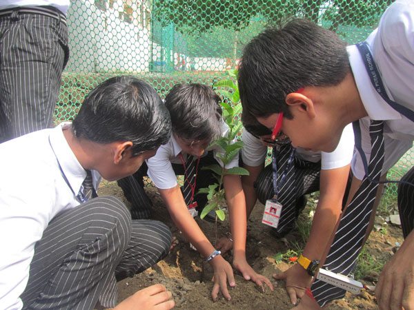 Tree Plantation Activity by ECO Club
