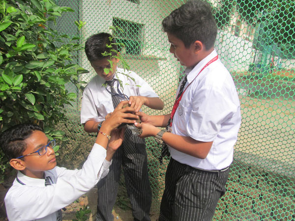 Tree Plantation Activity by ECO Club