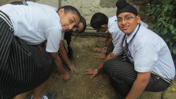 Tree Plantation Activity by ECO Club