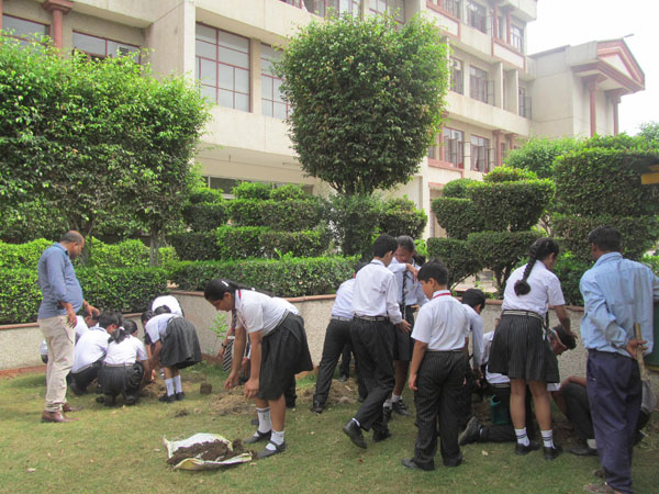 Tree Plantation Activity by ECO Club