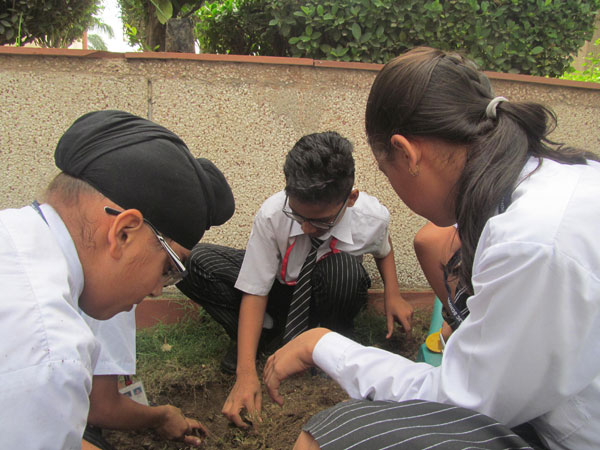 Tree Plantation Activity by ECO Club
