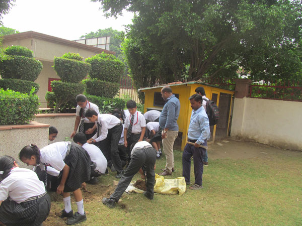 Tree Plantation Activity by ECO Club