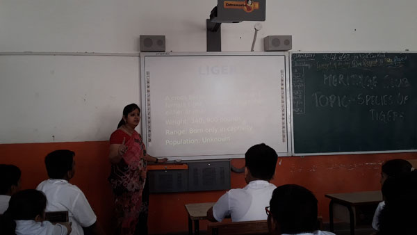 Presentation on Species of Tigers by Heritage Club