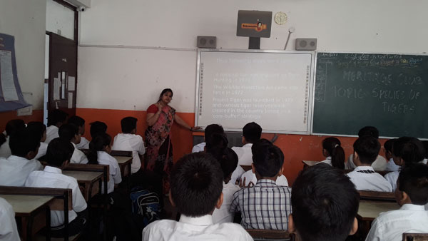 Presentation on Species of Tigers by Heritage Club