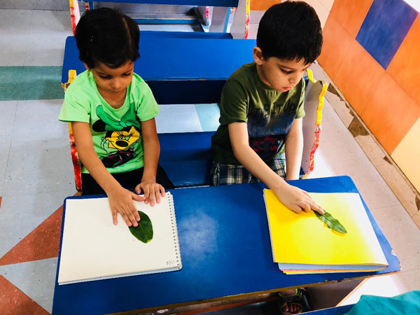 GREEN COLOUR DAY CELEBRATION