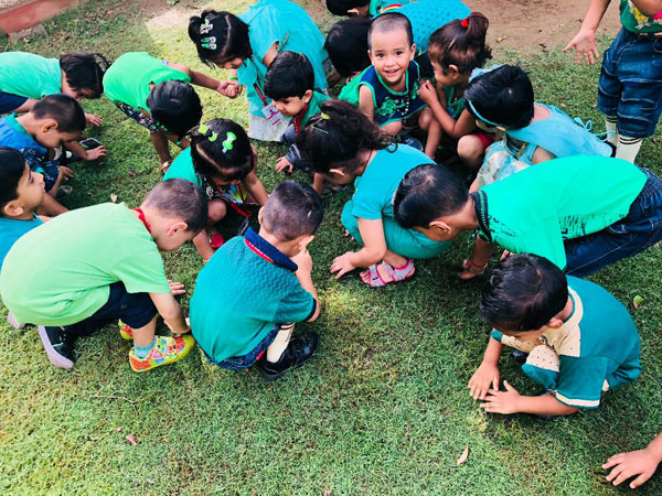 GREEN COLOUR DAY CELEBRATION