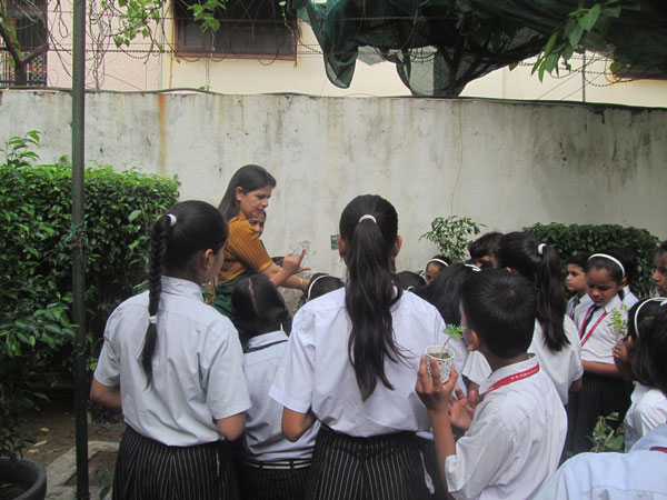Celebration of Tree Plantation Day by Eco Club
