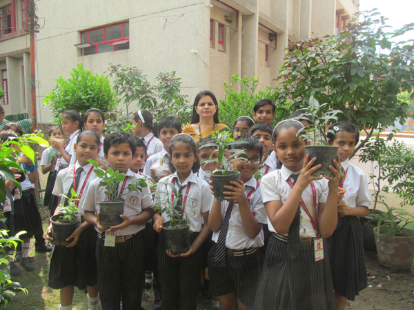 Celebration of Tree Plantation Day by Eco Club