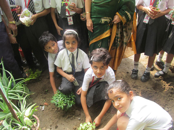 Celebration of Tree Plantation Day by Eco Club