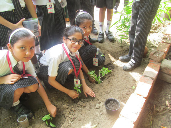 Celebration of Tree Plantation Day by Eco Club