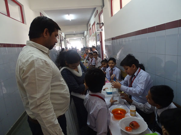 Primary PTM