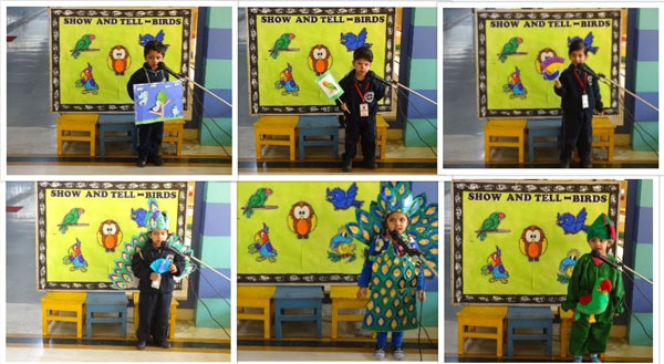 Show & Tell Birds Activity by Mont Classes