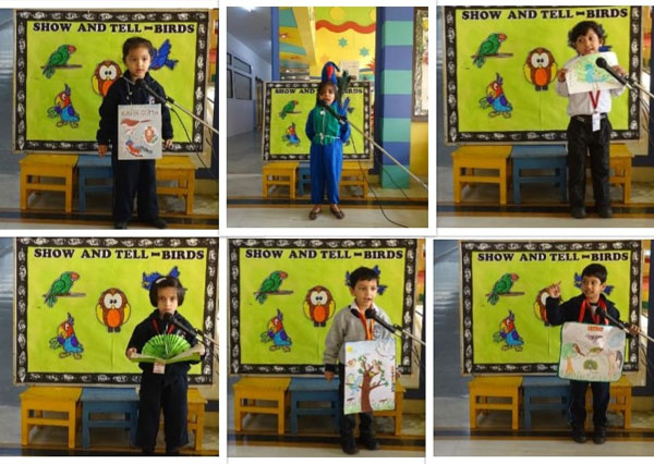 Show & Tell Birds Activity by Mont Classes