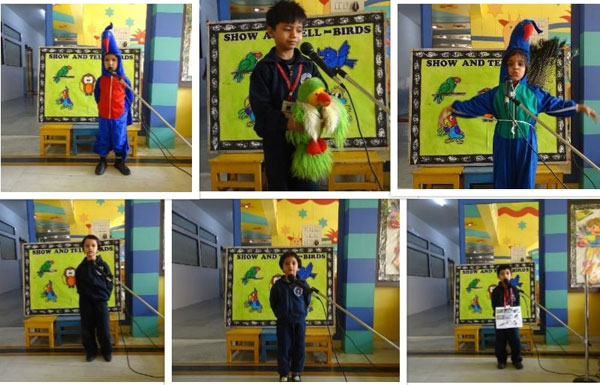 Show & Tell Birds Activity by Mont Classes