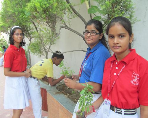 VAN MAHOTSAV CELEBRATION ON 28-08-2014