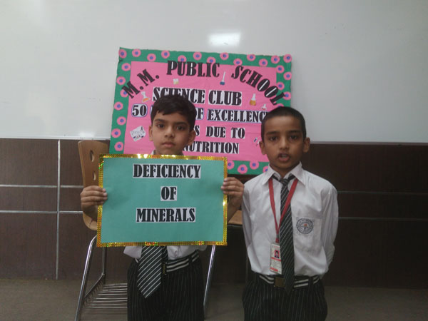 Study of various Diseases due to Malnutrition by Science Club