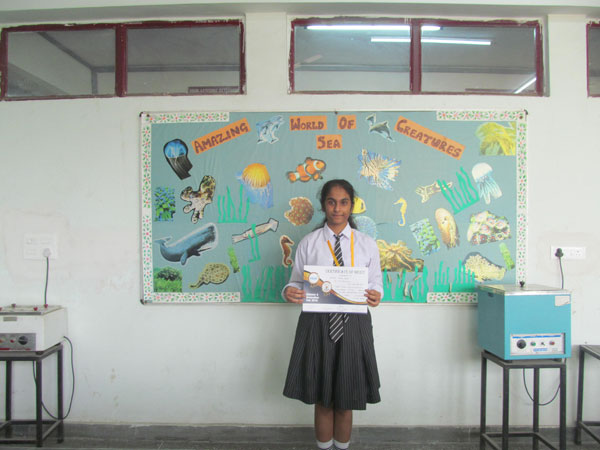 Laurel in Science and Innovation Fair 2018