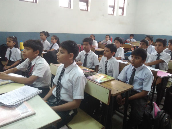 Activity on Species of Tigers by Science Club