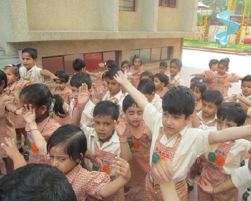 Yoga Activity